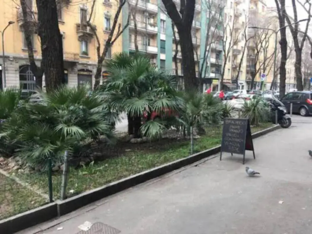 Apartment Romantica Mansarda 15 Min Dal Centro - Lome 844 Milan